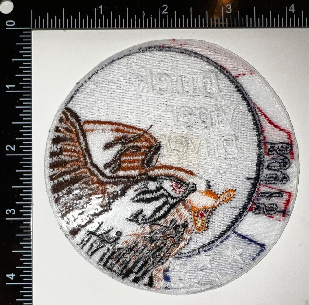 USAF 309th Fighter Squadron Duck Viper Driver Swirl Patch