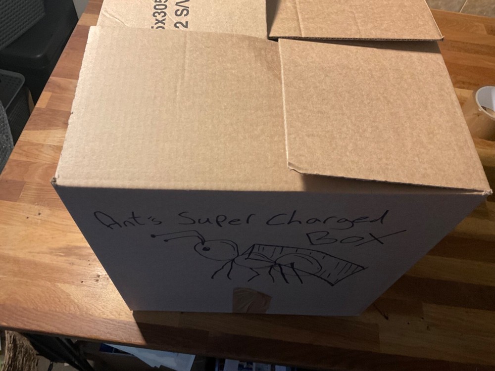 Glory Box SUPERCHARGED WORLD stamps 🐜 mystery sorting boxes SEE DESCRIPTION