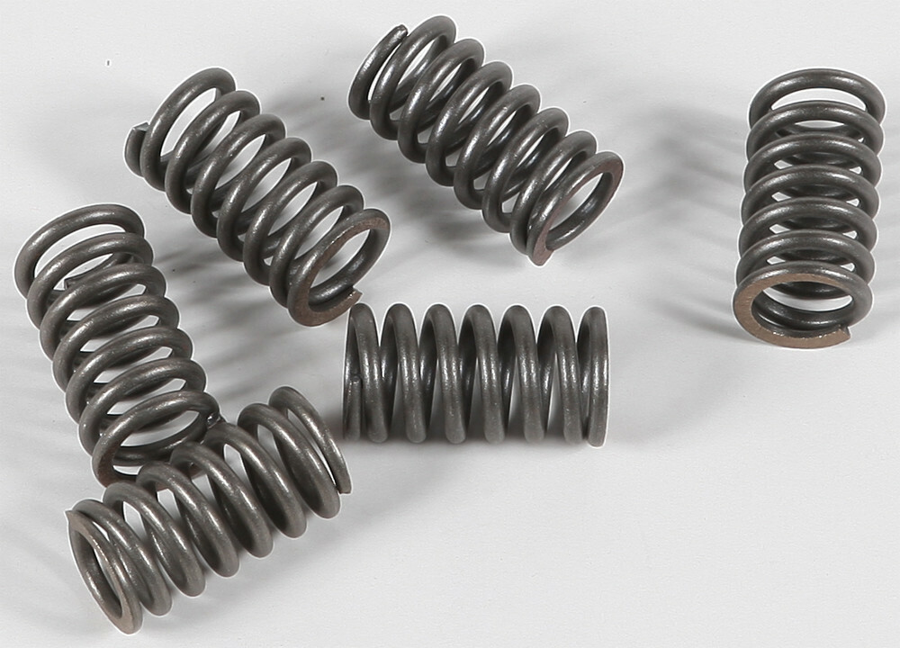 EBC CSK Clutch Spring Kit CSK31