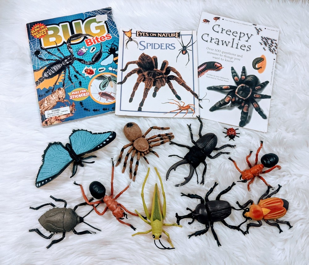Insect Bug Books With Plastic Bugs