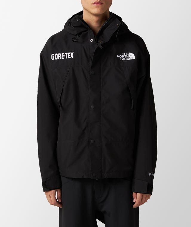 The North Face Gore-Tex Mountain Jacket- Authentic