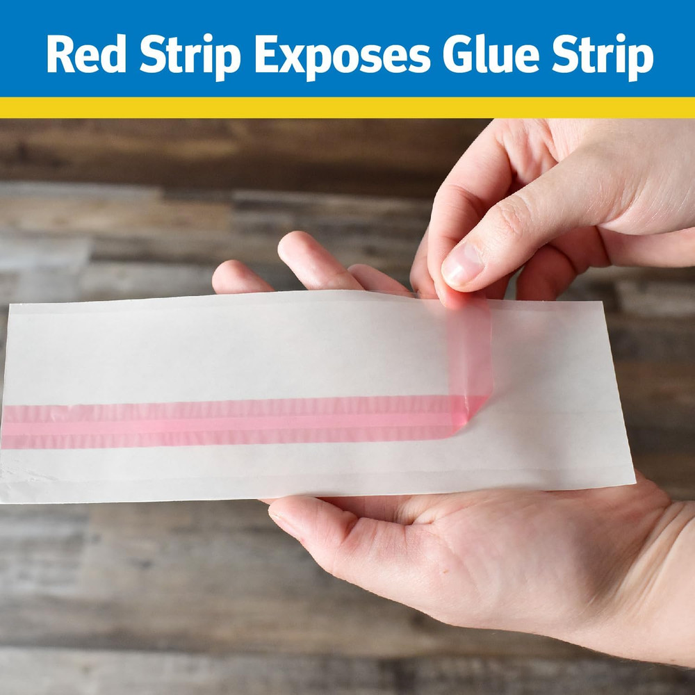 Window Fly Trap, 4 Count (12-Pack)