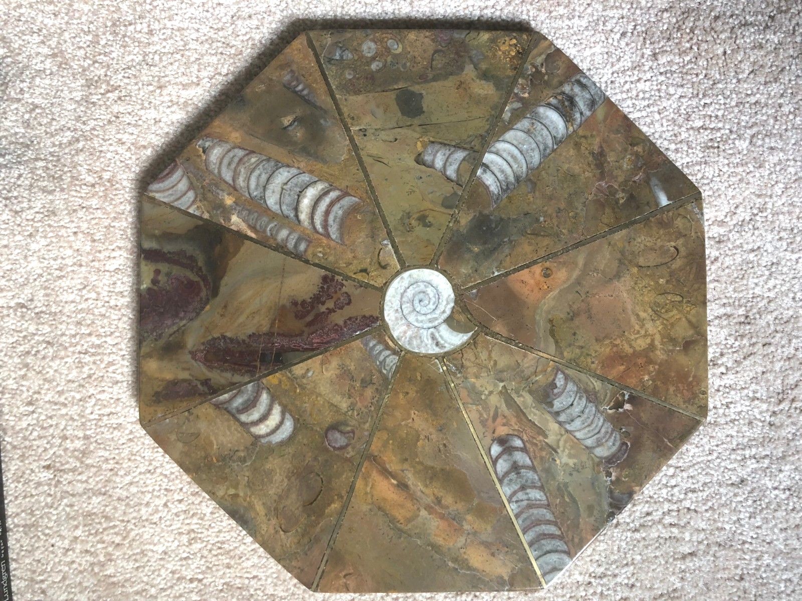 Ammonite Orthoceras Fossil Table Top Tabletop Nightstand 12-1/4" Inlay plate