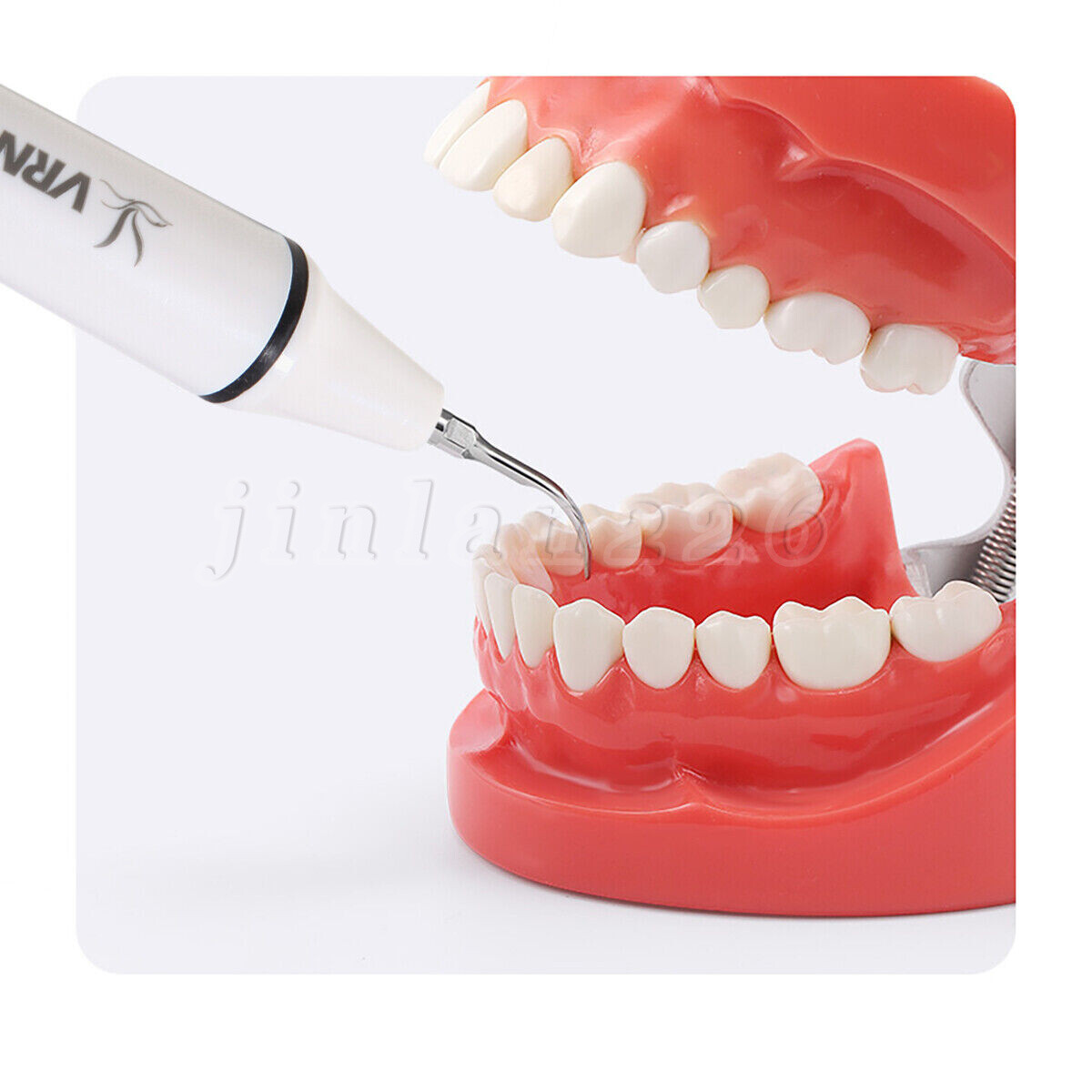 Dental Ultrasonic Scaler Piezo Scaling Handpiece Cleaning fit EMS Woodpecker USA