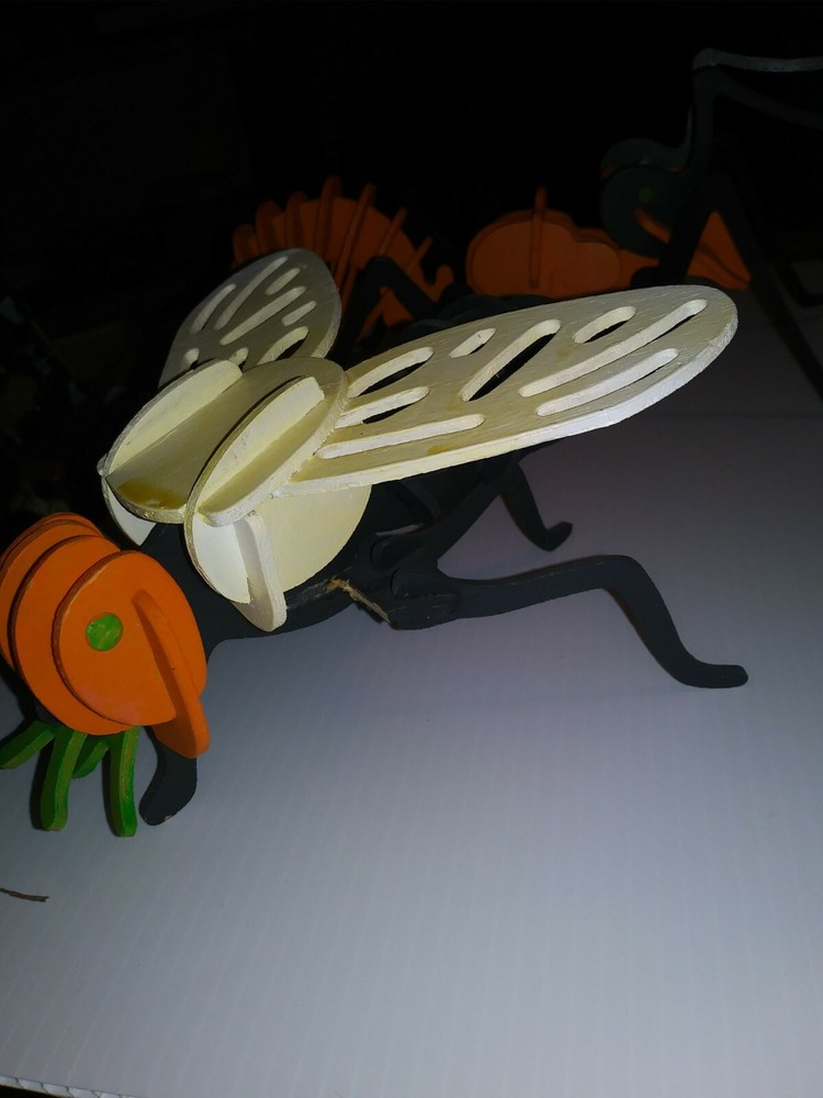 Wooden Insect Bugs Models In Black And Orange Not Complete