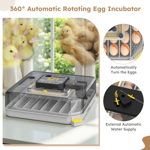 48 Egg Incubator for Hatching Chicken Automatic Egg Turning Humidity Control