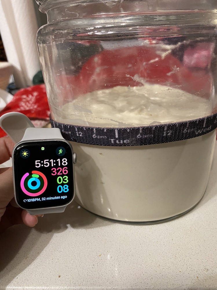 100+ Year Old Sourdough Starter