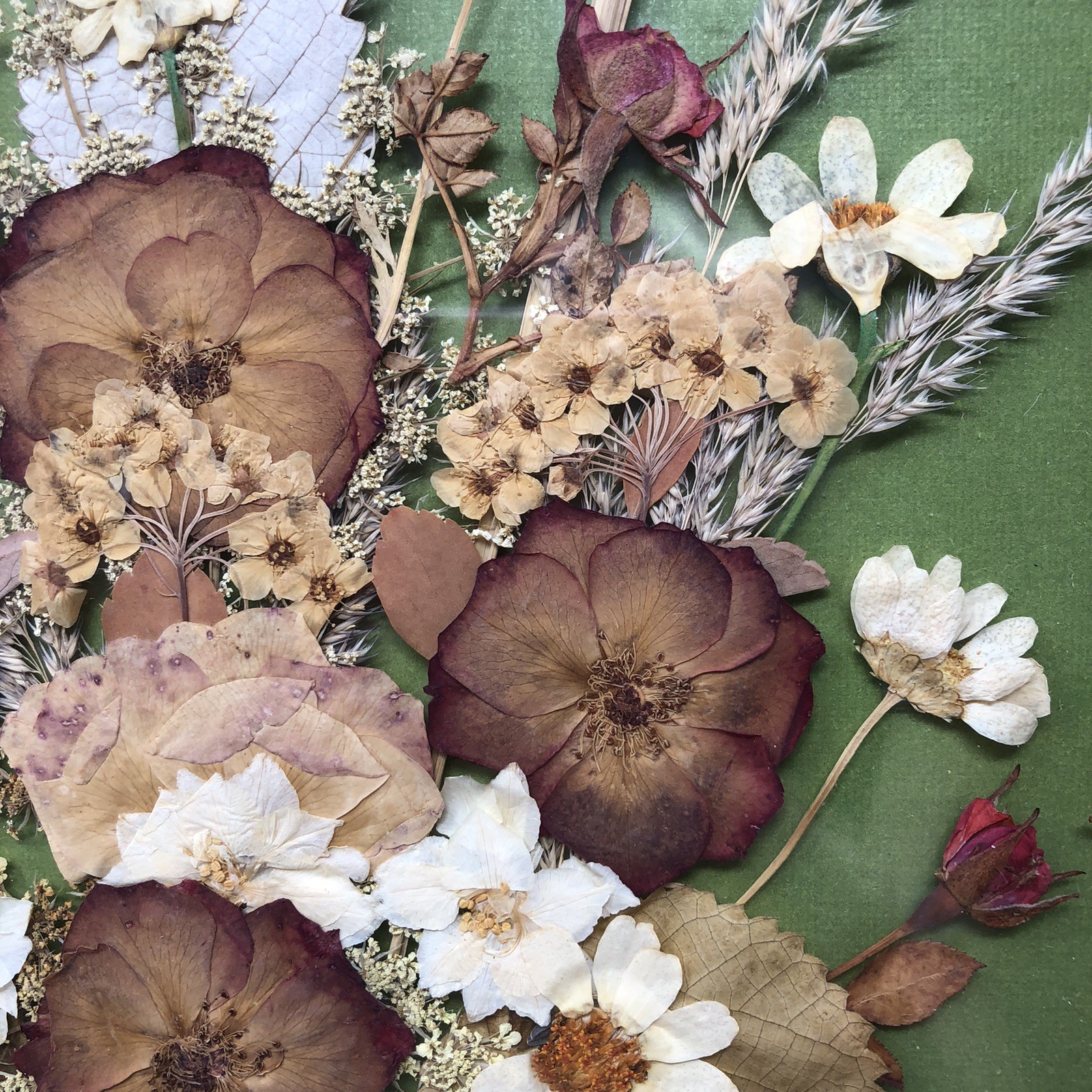 Framed Pressed Flowers Distressed Frame 10.5" x 12.5" Cottagecore Country Chic B