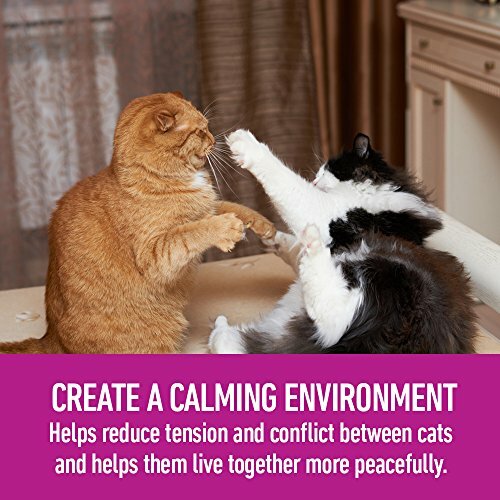 Calming Diffuser Kit for Multicat Conflict & Tension by Comfort Zone - Plastic
