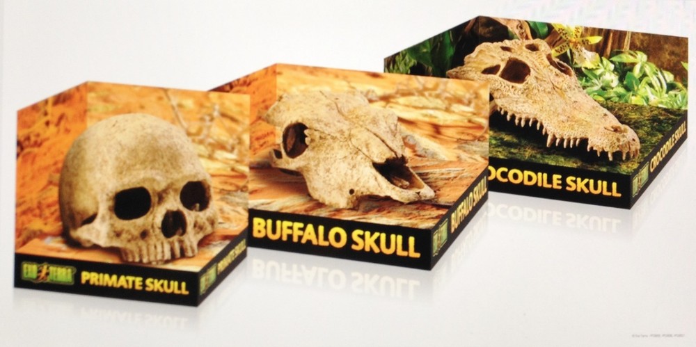 EXO TERRA BUFFALO SKULL