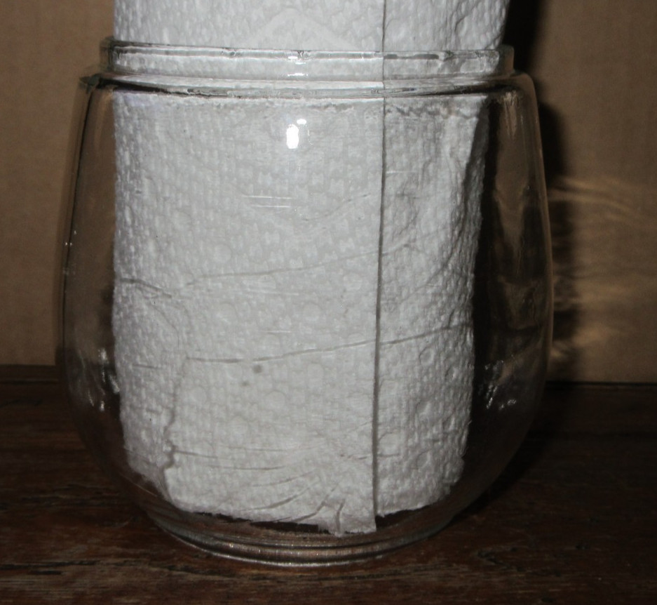 Lantern Clear Glass Replacement Globe 4" High Dietz