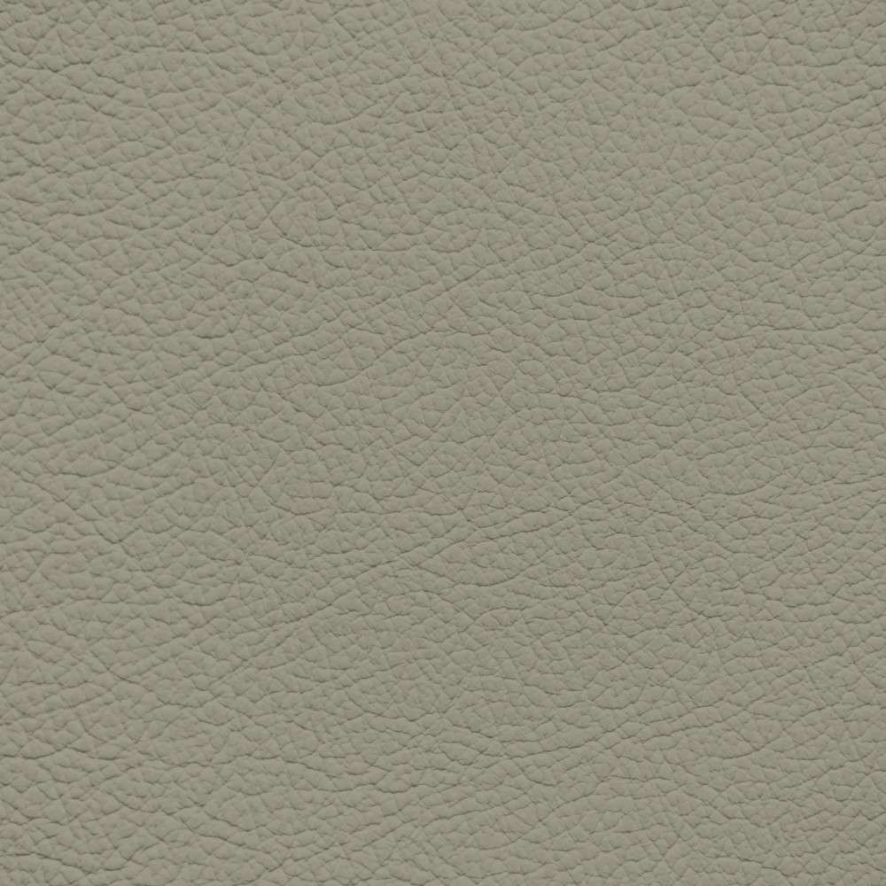 Infiniti Sage Gray Leather Dye