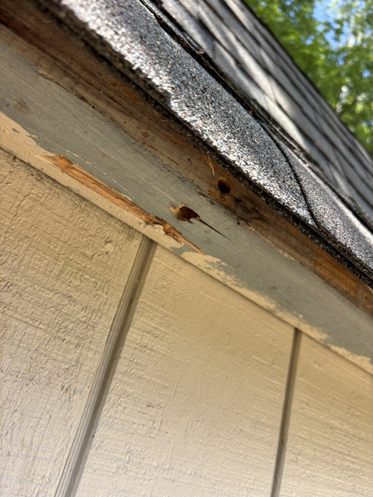 Carpenter Bee Trap Handmade w/jar