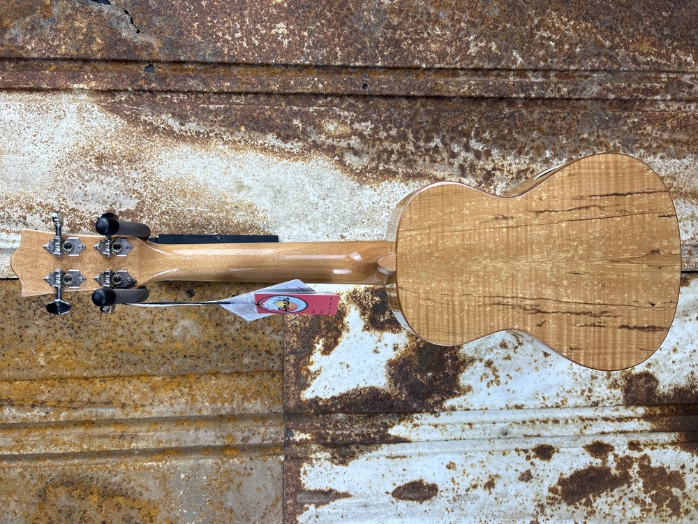 Snail Spalted Maple Gloss Concert Ukulele