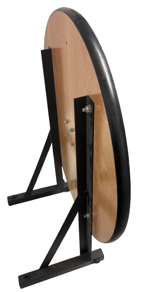 Everlast Boxing Speed Bag Set -