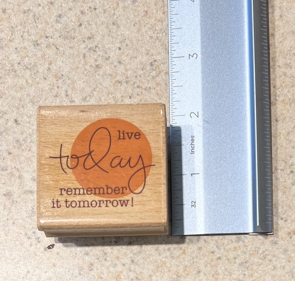 Live today remember it tomorrow, Studio G ,B162,rubber, wood 2011