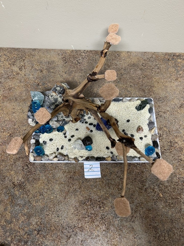 Bonsái tree for aquarium