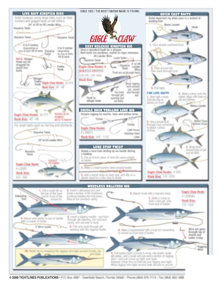 Saltwater Bait Rigging #5 (Offshore) - Waterproof Reference Guide