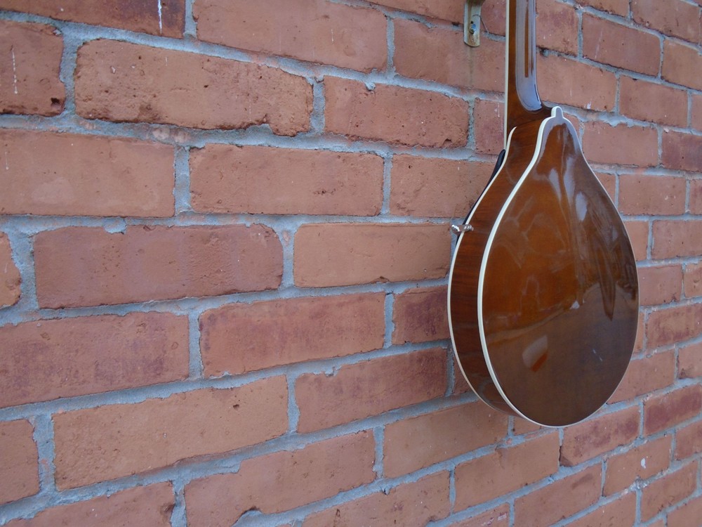 Kentucky KM156 mandolin w/bag