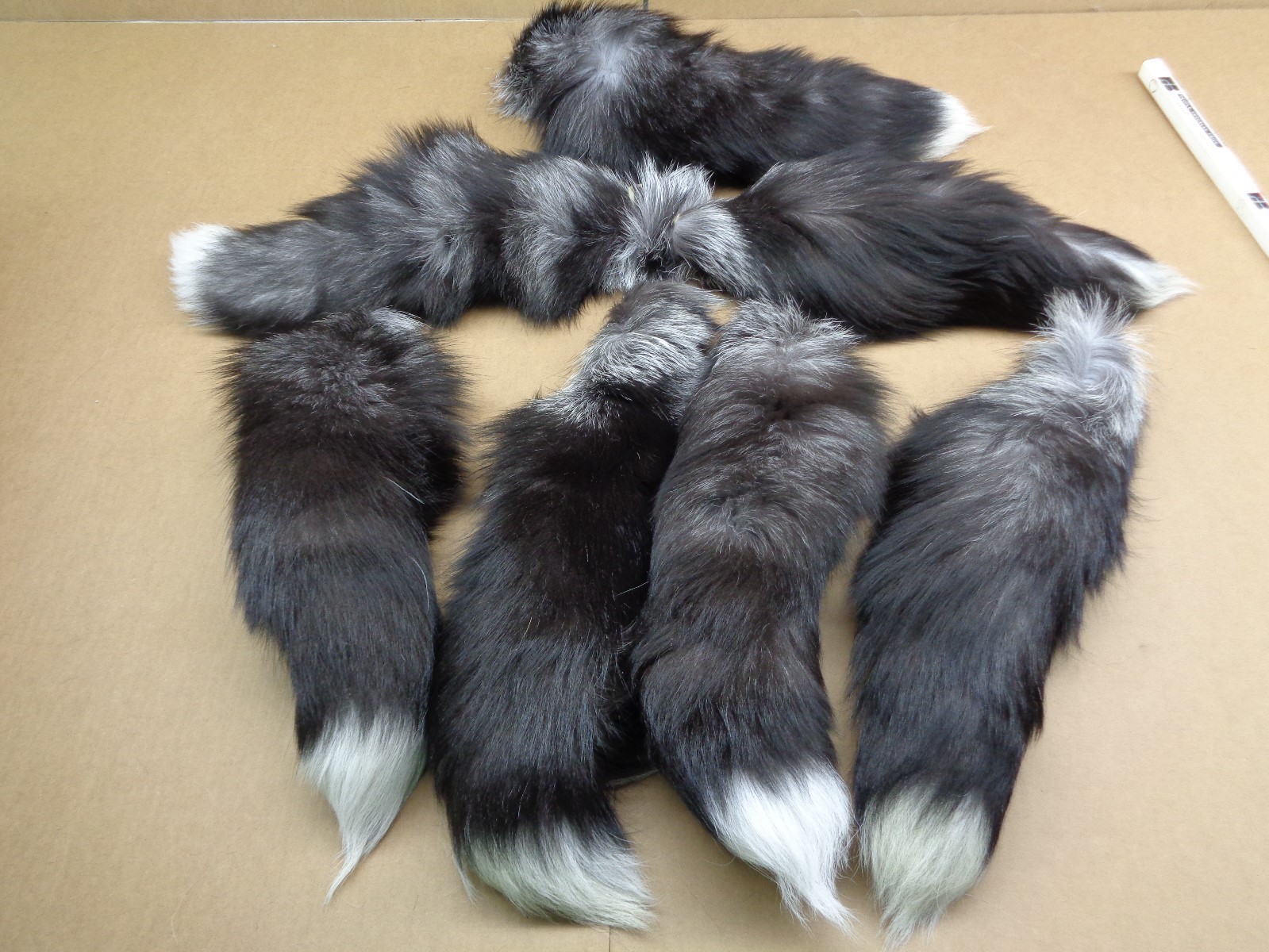 1 XXL Tanned Silver Fox Tail/Crafts/100% USA Real Fur/Purse
