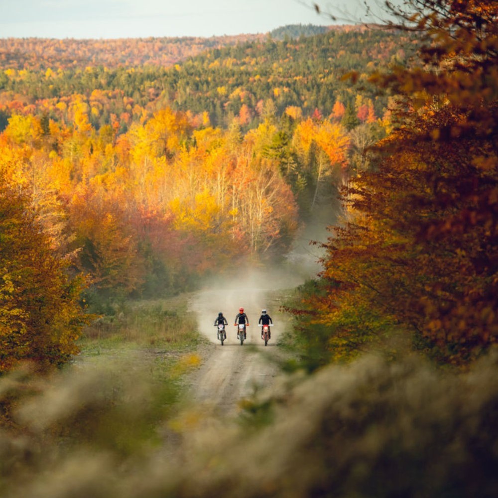 Acerbis 35MM Tie-Down Straps Blue