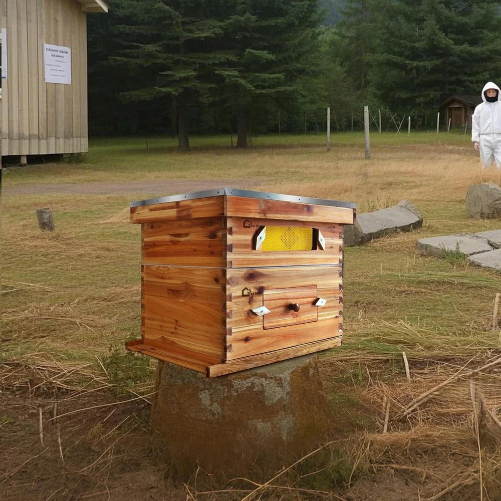 10-Frame Complete Beehive Frame Kit Wax Coated w/ 1 Deep Box 1 Medium Bee Box