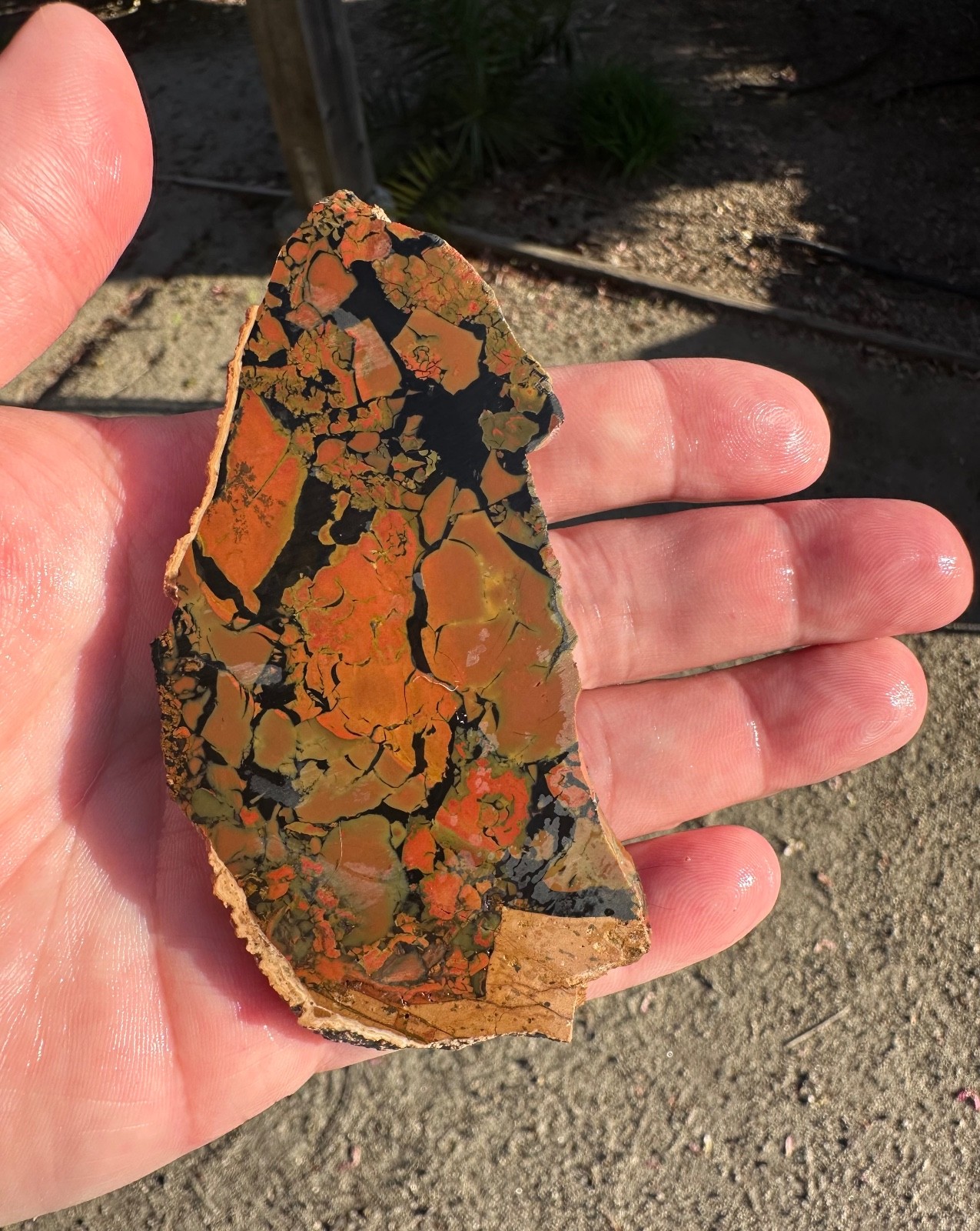 Whiskey Creek Jasper Slab, 57g, Idaho, Cabbing/Lapidary
