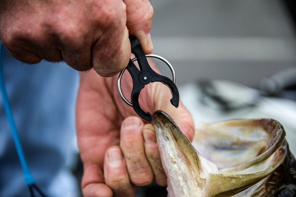 TH Marine G-Force Conservation Cull System Gen 2