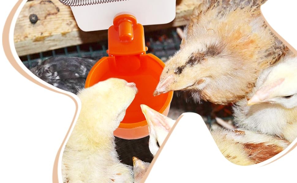 Automatic Waterer System Chick Drinker Cups 1L Hanging Automatic Fill Poultry...