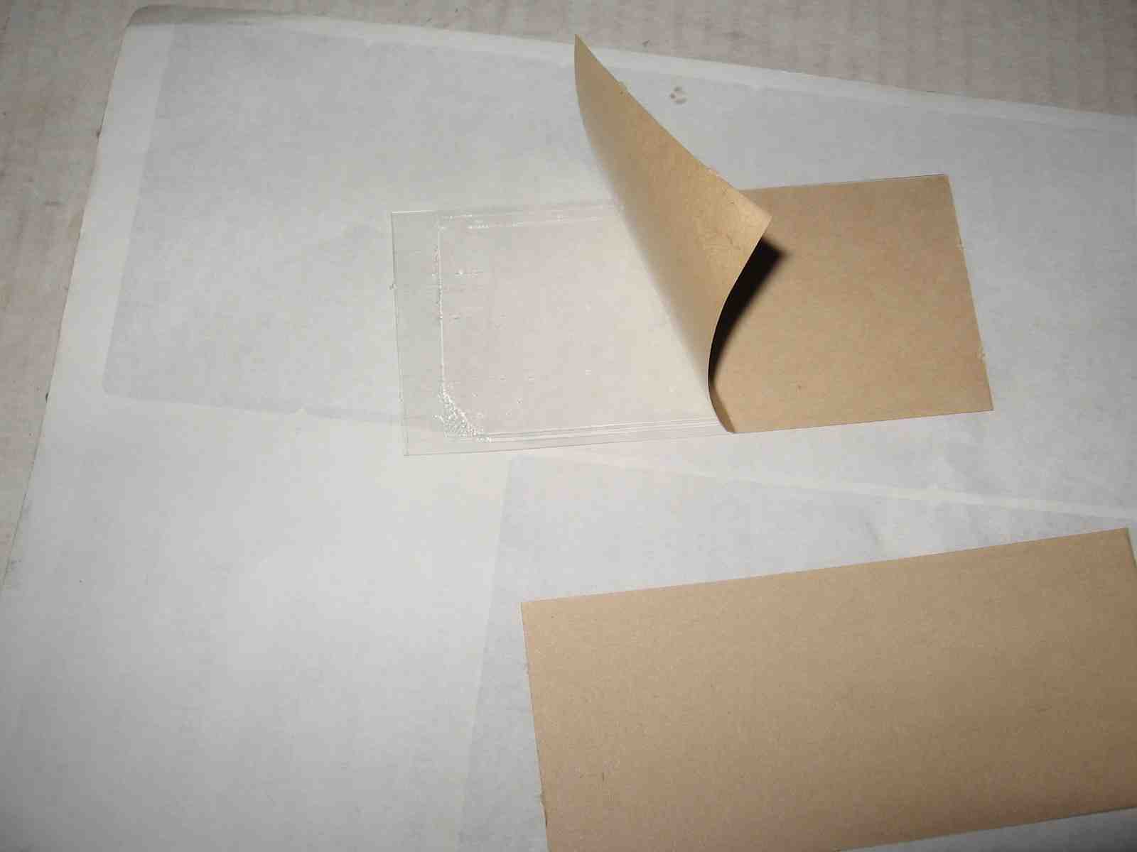 10 pk Stink Bug Trap / Strip, Asian Beetle, Lady Bug, Spider / Cricket, USA