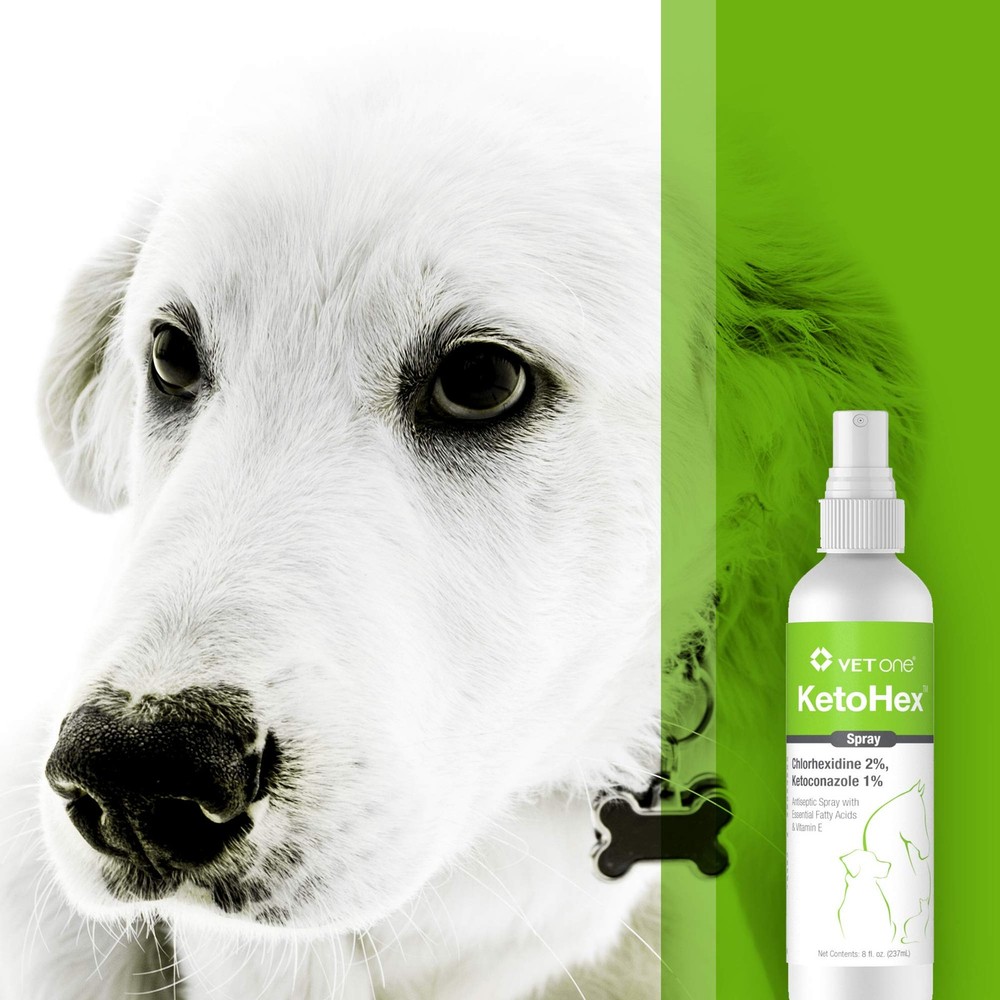 Ketohex Spray 8 oz