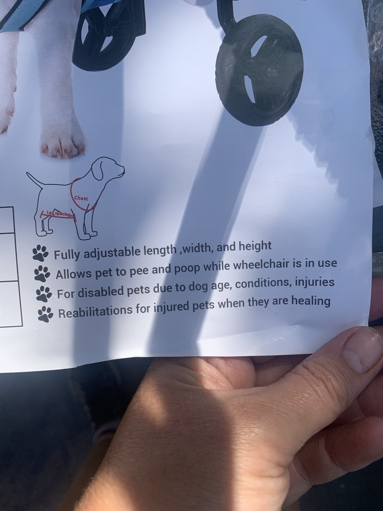 Celestaura Legs walking mobility for animals