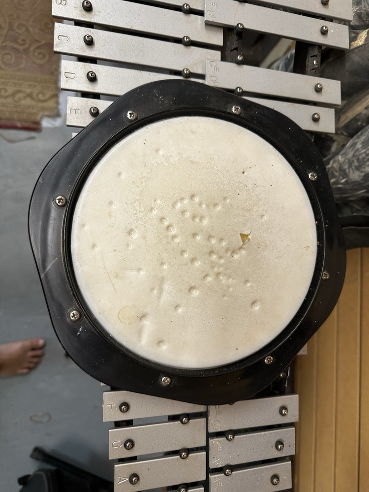 Student 32-Key Xylophone with Case