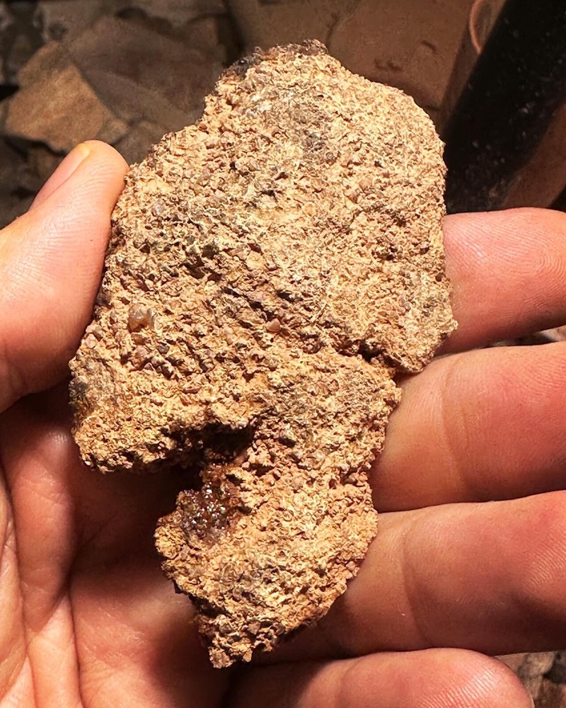 Dinosaur bone rough hxtled end cut.