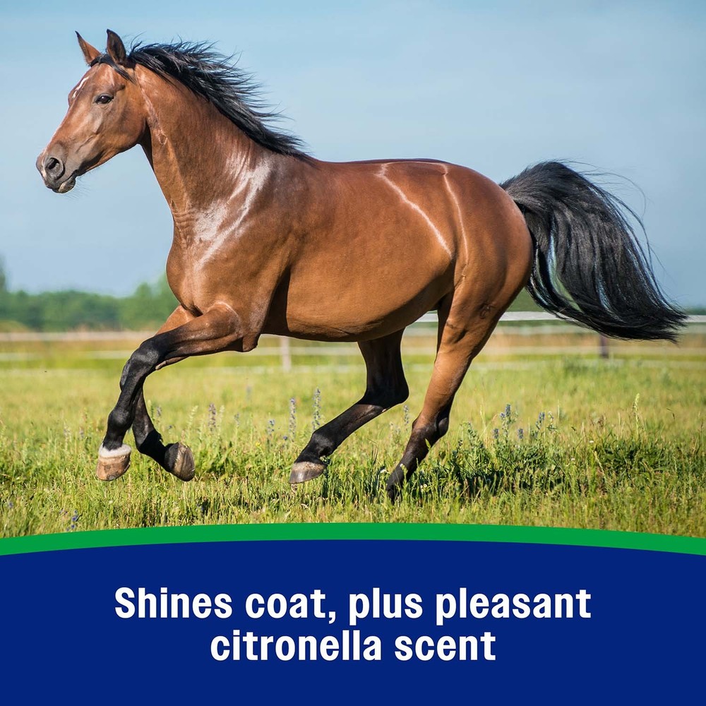 Wipe II Citronella RTU, quart