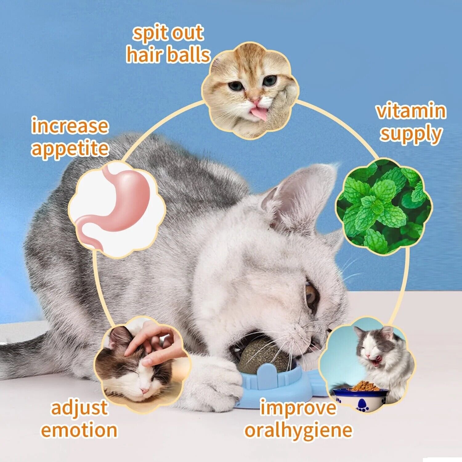 3Pcs Natural Catnip Kitten Mint Balls Safe Healthy Teeth Cleaning Dental Cat Toy