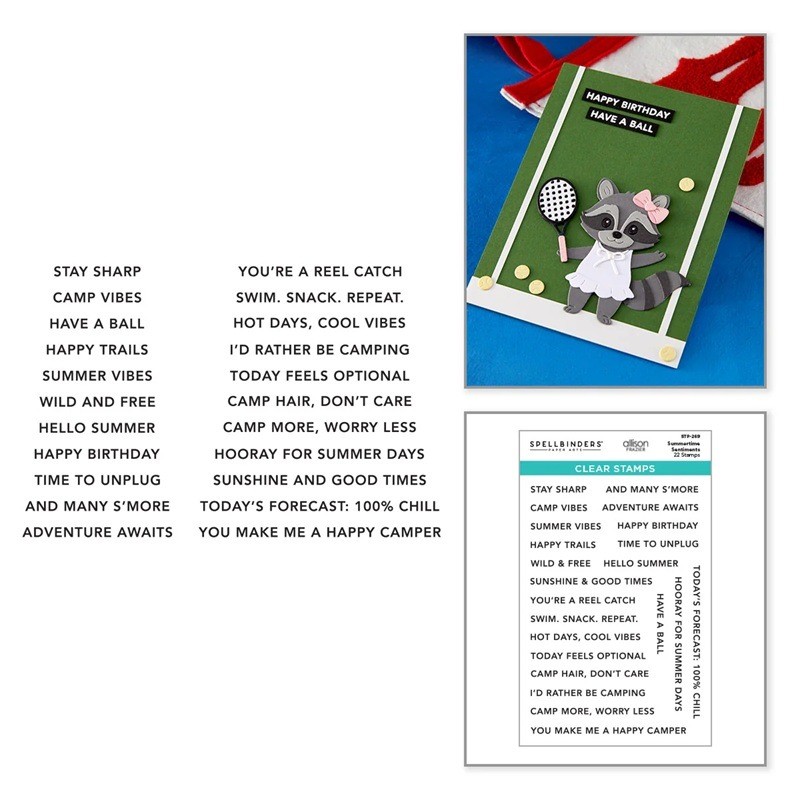 Preorder Spellbinders Clear Stamp STP-269 Summertime Sentiments