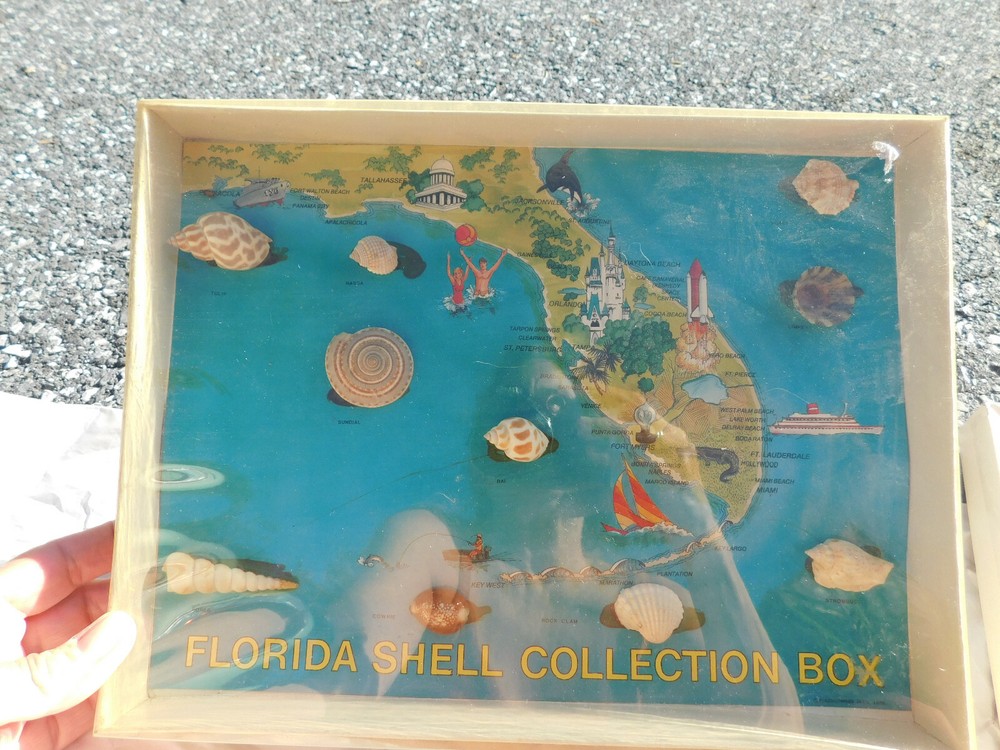 Vtg RARE Retro Florida Shell Collection Box Cool Map Beachcomber 1986 Key West +
