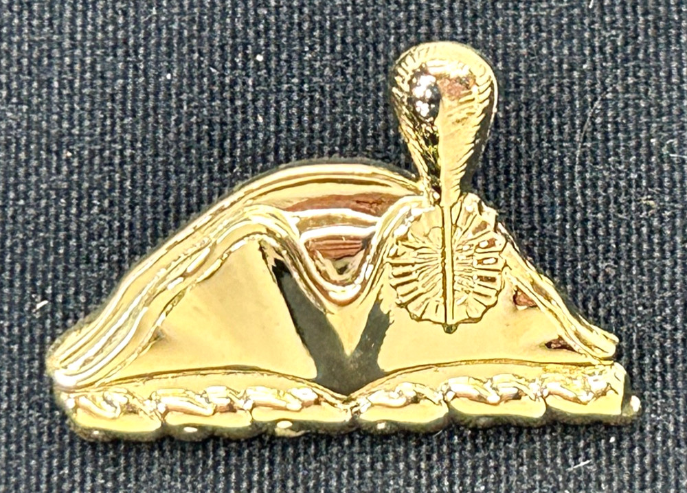 US Army 3rd Infantry Regiment DUI Pin