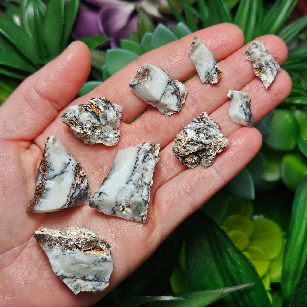 Mount Shasta Opal