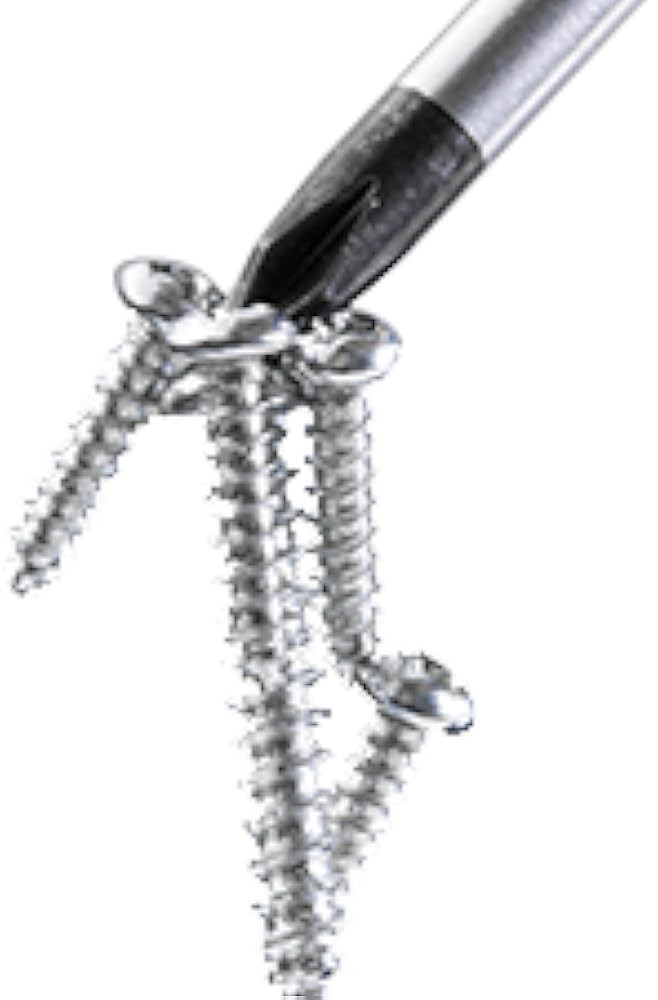 Proer Magnetic Screwdriver Set, Multi-pose Slotted/