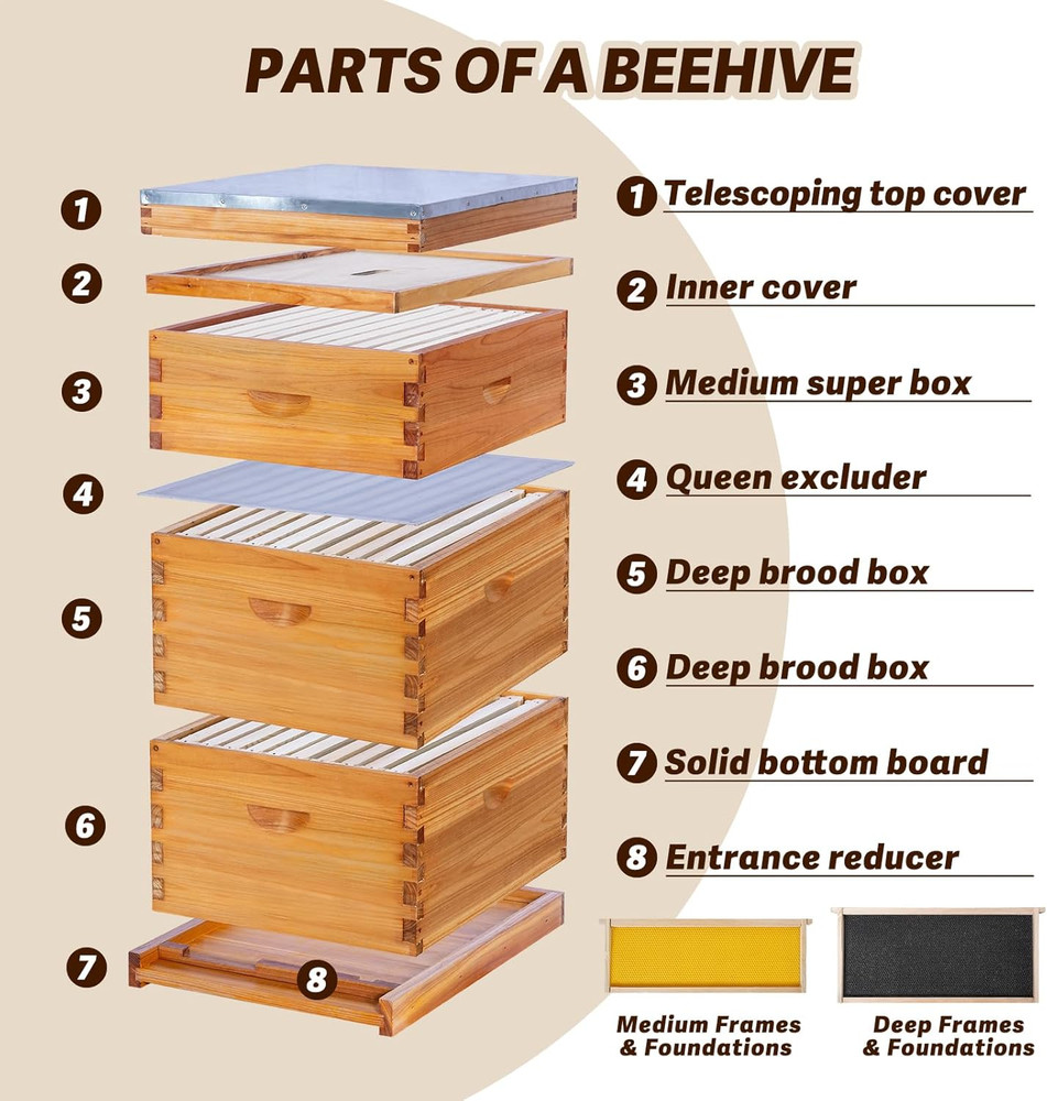 10-Frame Langstroth Bee Hive Complete Bee Hive Kit Beeswax Coated Include Beehiv
