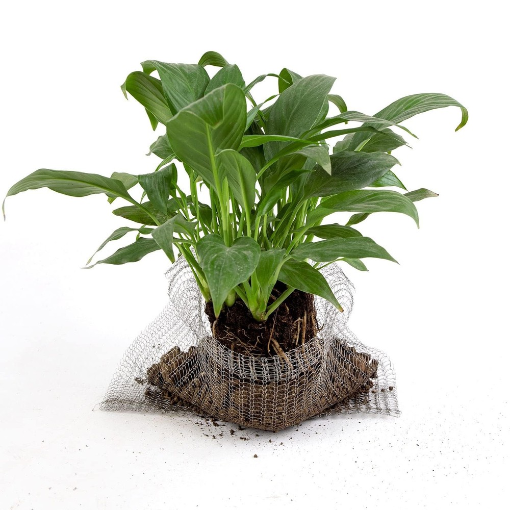 Root Guard Gopher Proof Wire Basket Mole and Vole Mesh 5 Gallon, Silver