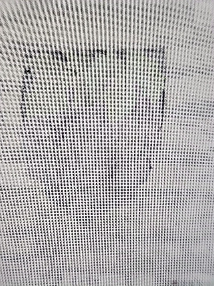 Julia Grapes Needlepoint Canvas Painted