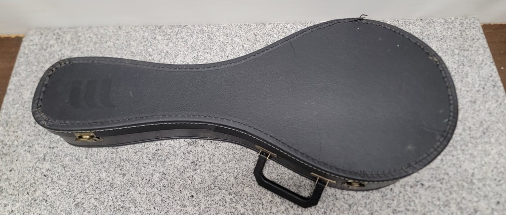 Vintage Kay Mandolin 8-String(Missing One) N7?