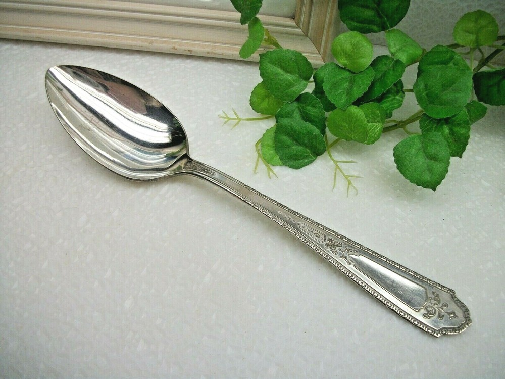 Vintage National Silver TWO Pattern Silverplate Solid Serving Spoon