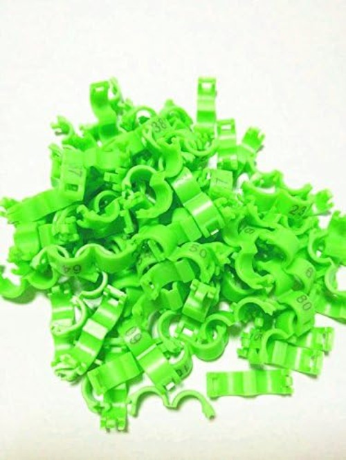 Plastic Bird Rings 3mm Green 100pcs