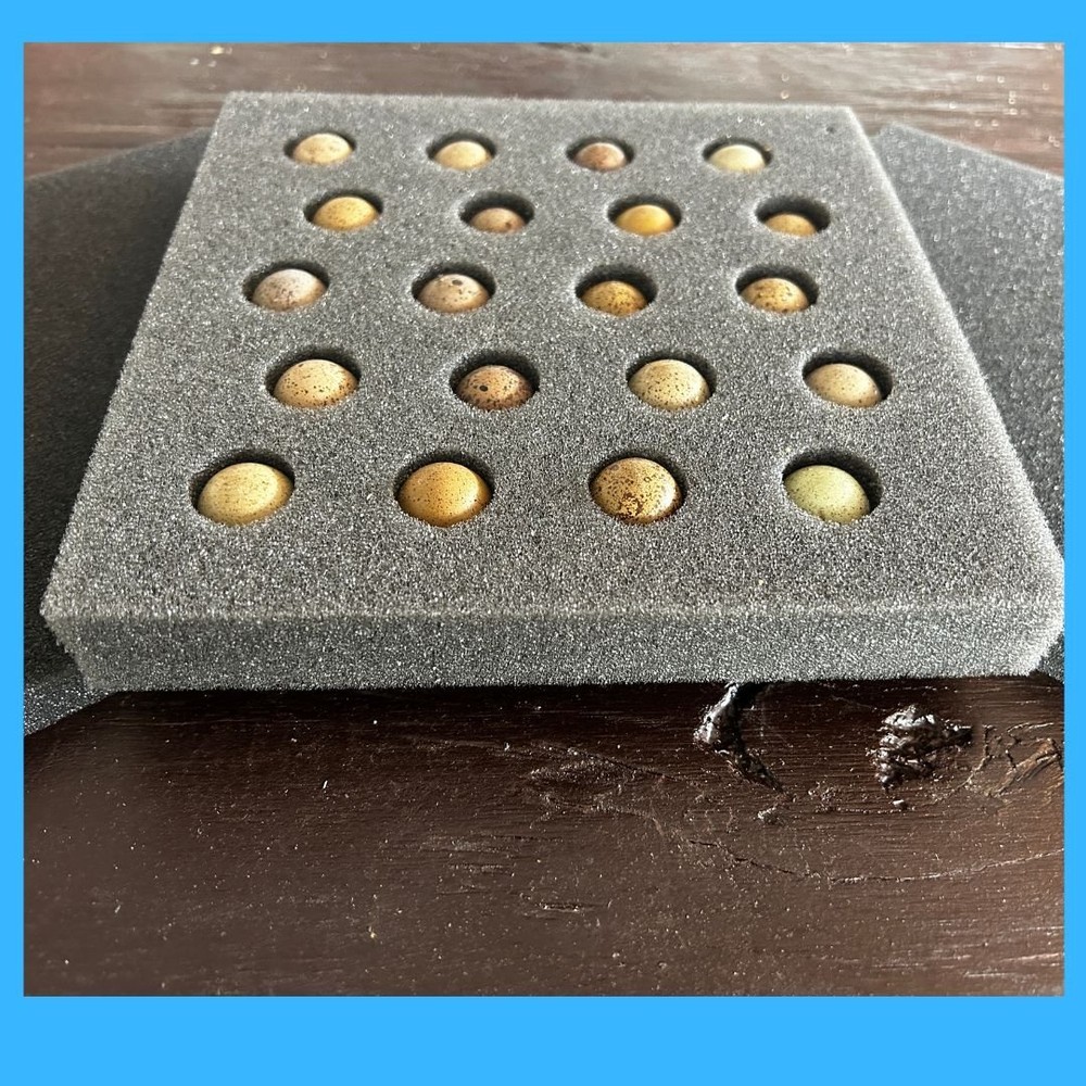 Button Quail 20 Hole Shipper Set--Free Shipping