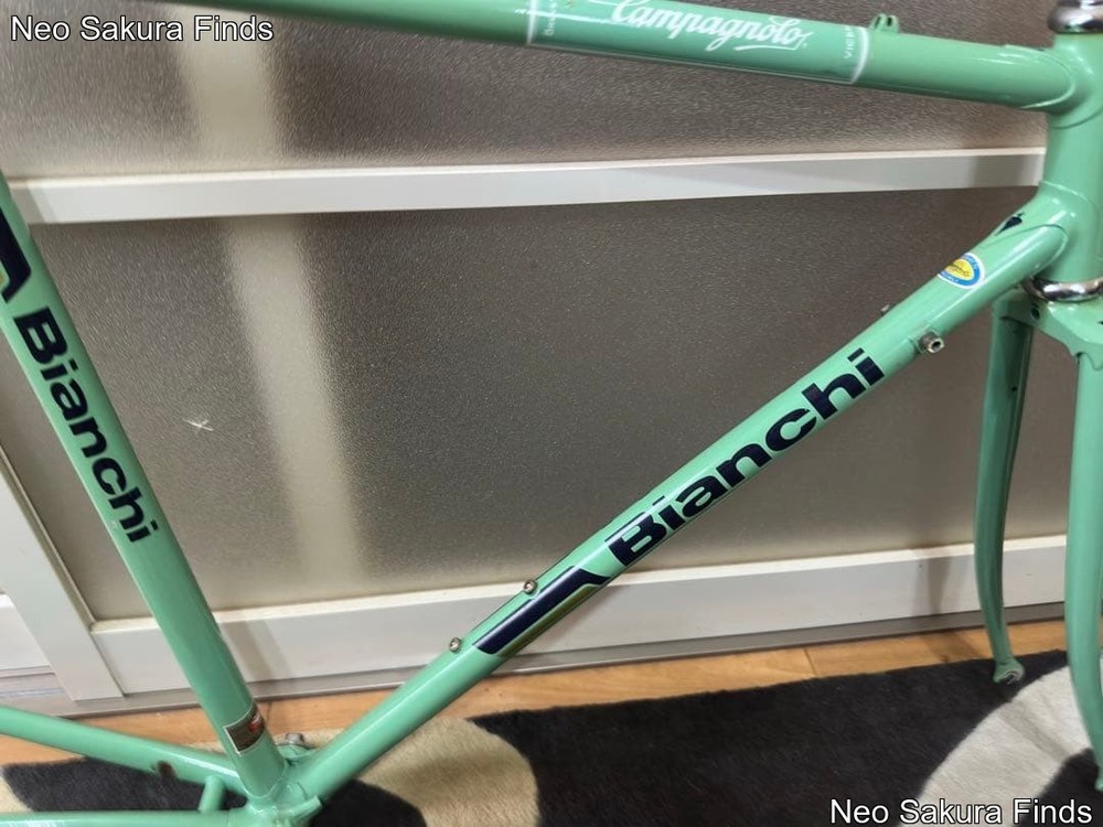 Vintage Chromoly Frame Frameset