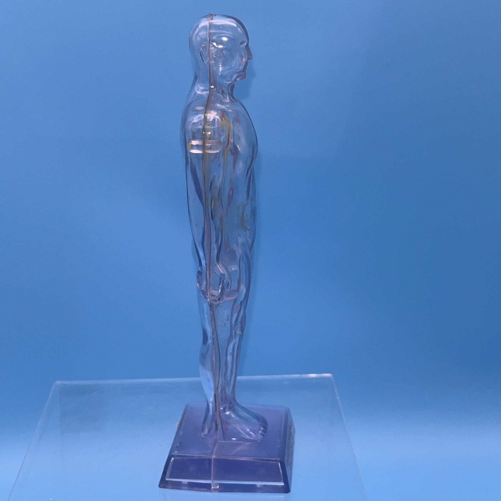 1968 Diuril Drug Rep Advertising Clear Human Body Figure Blood Pressure Medicine